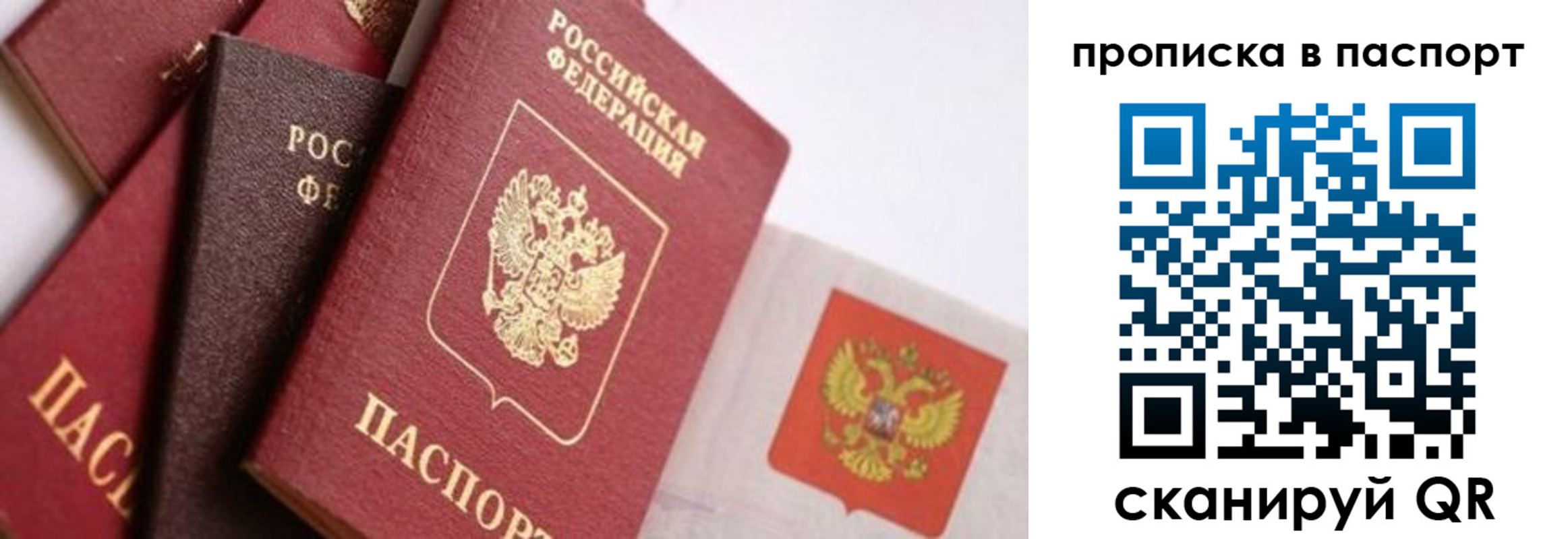 прописка штамп в Элисте